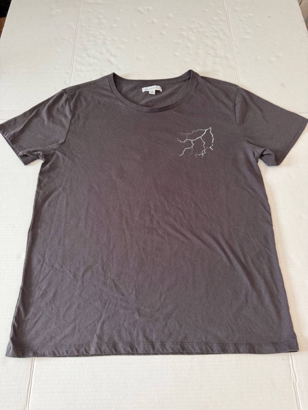 And Now This Men's Short-Sleeve Crew Tee Eagle with Lightning Bird of prey